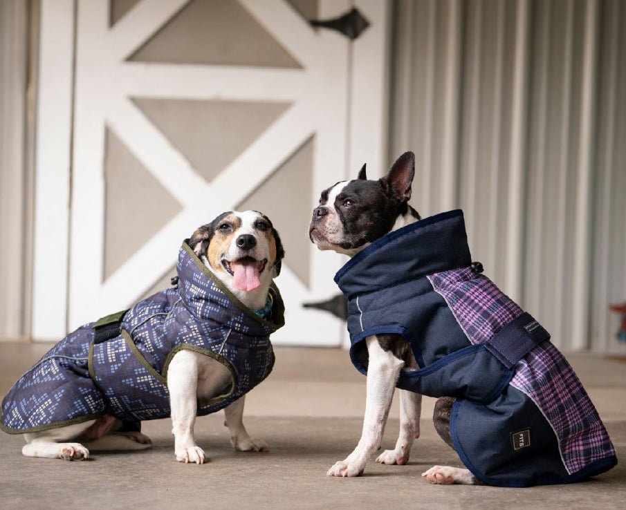 Co-Pilot Food & Gear (PETS) - THE ONLY Mars Emporium