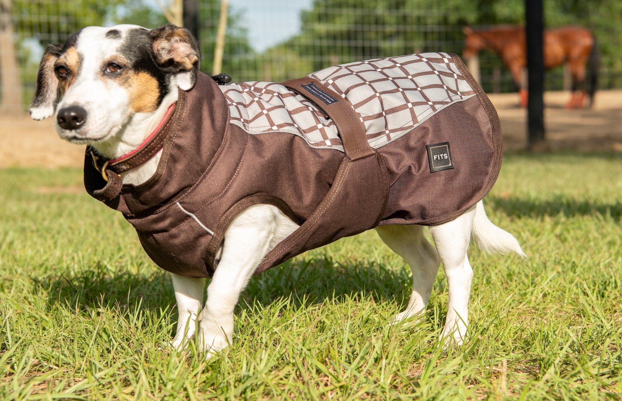 All Weather Dog Coat - THE ONLY Mars Emporium