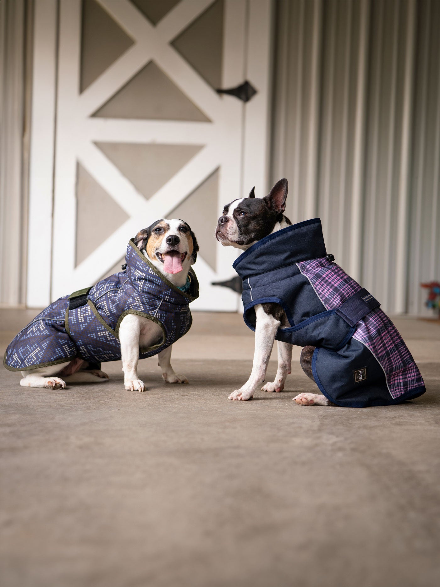 All Weather Dog Coat - THE ONLY Mars Emporium