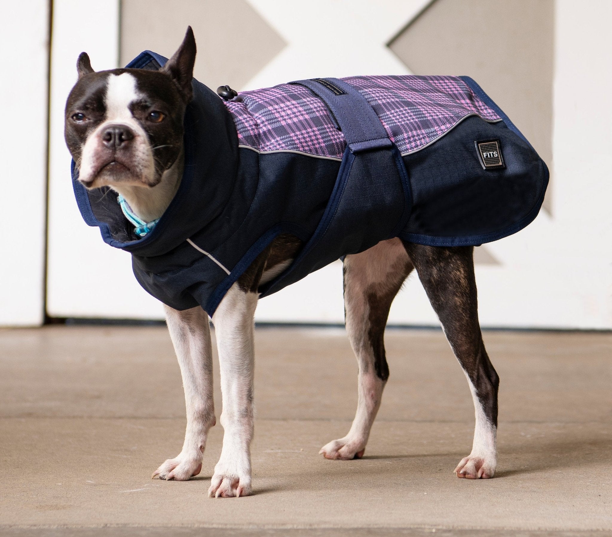 All Weather Dog Coat - THE ONLY Mars Emporium