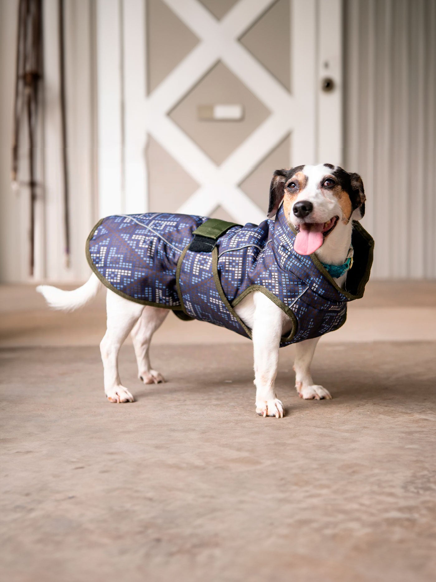 All Weather Dog Coat - THE ONLY Mars Emporium