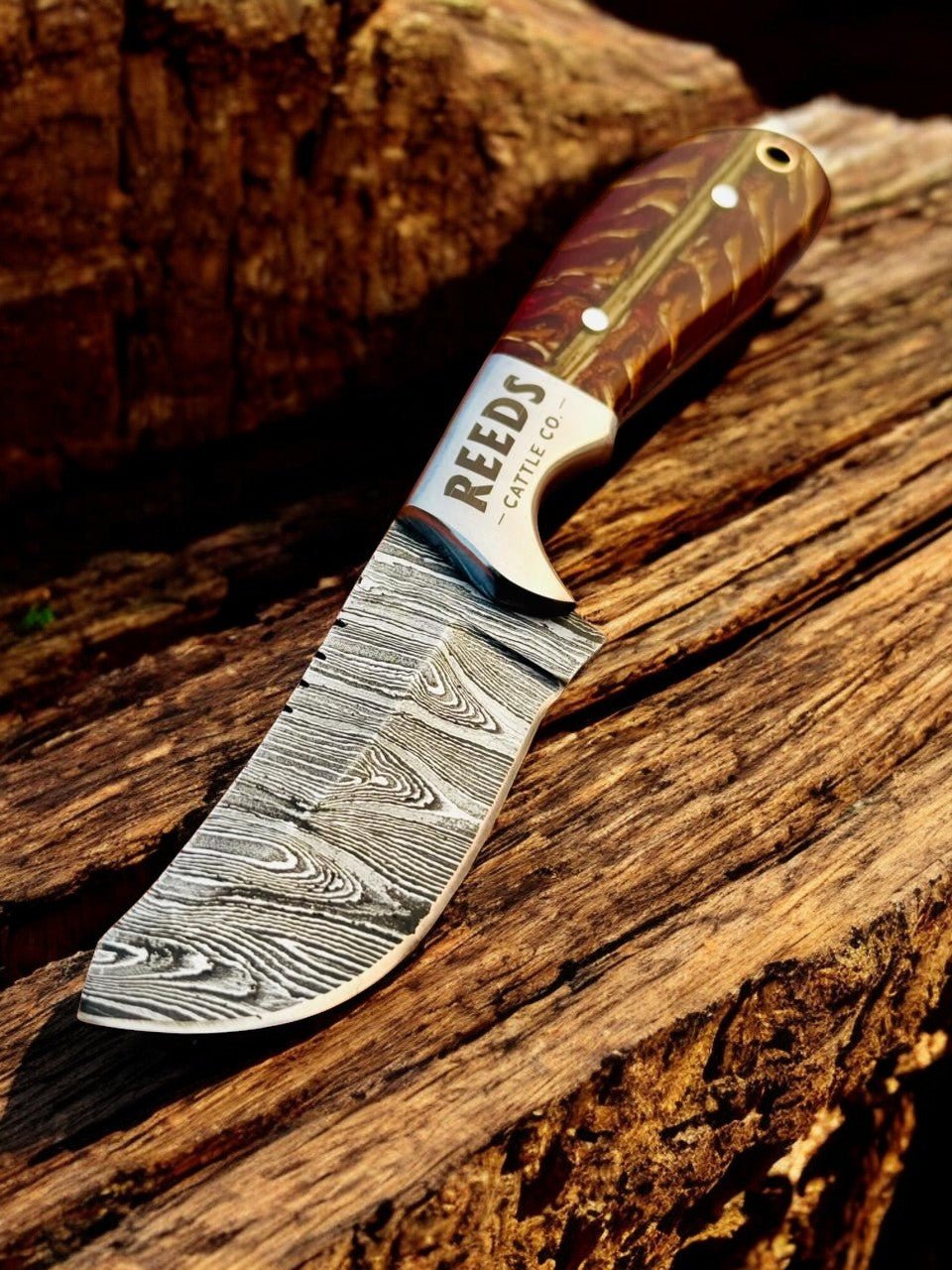 Cowboy Knife 3.25" Damascus Blade with Red Pine Cone Resin Handle - THE ONLY Mars Emporium