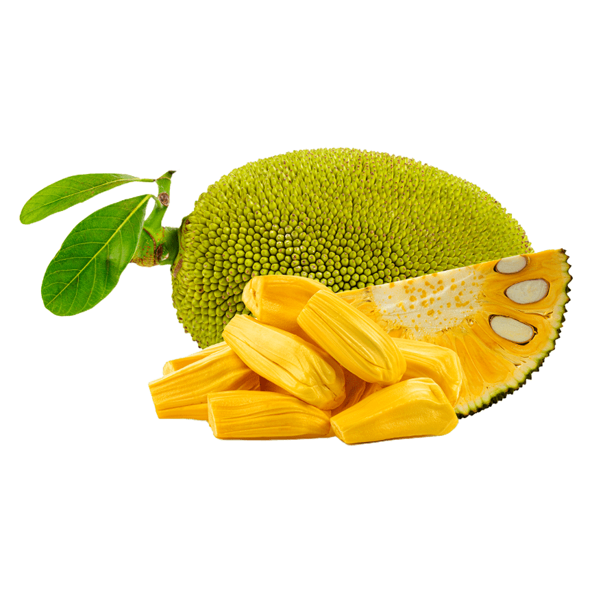 Freeze - Dried Jackfruit - THE ONLY Mars Emporium