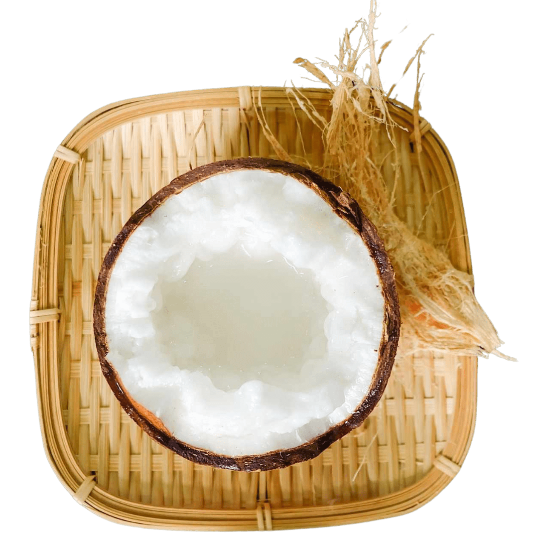 Freeze - Dried Macapuno Coconut Chips - THE ONLY Mars Emporium