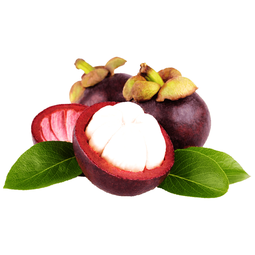 Freeze - Dried Mangosteen - THE ONLY Mars Emporium