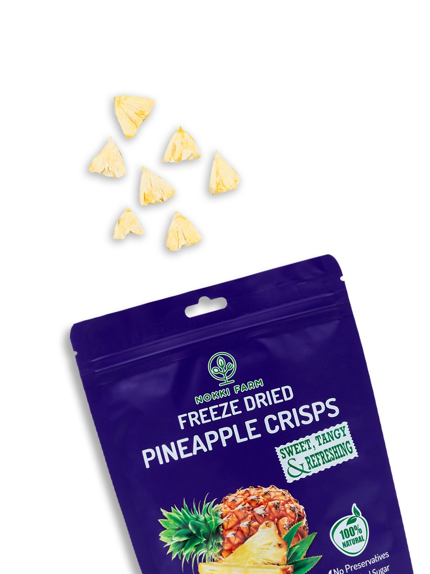 Freeze - Dried Pineapple - THE ONLY Mars Emporium