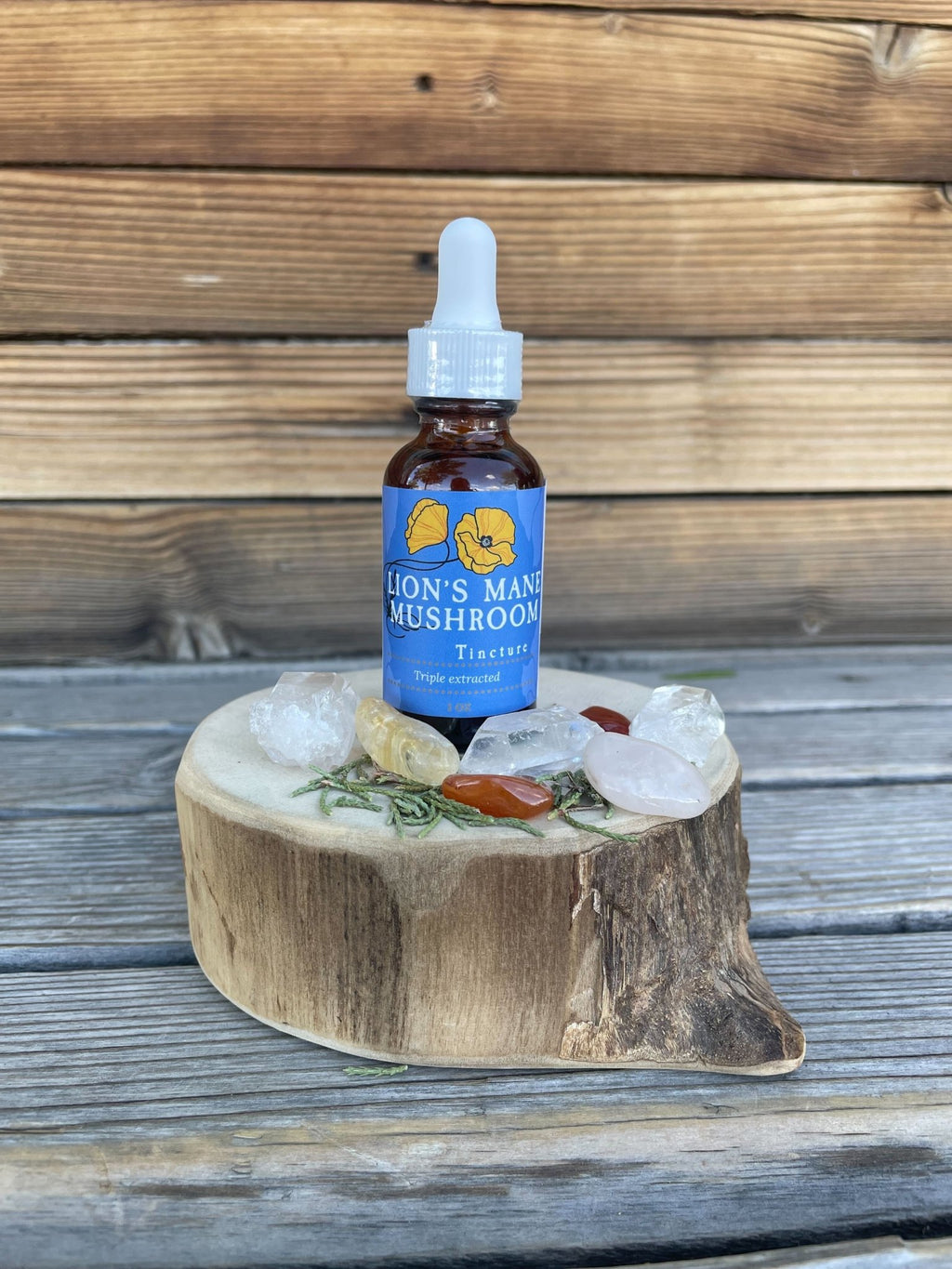 Lion's Mane Mushroom Tincture 1 oz, Organic, Triple Extracted - THE ONLY Mars Emporium