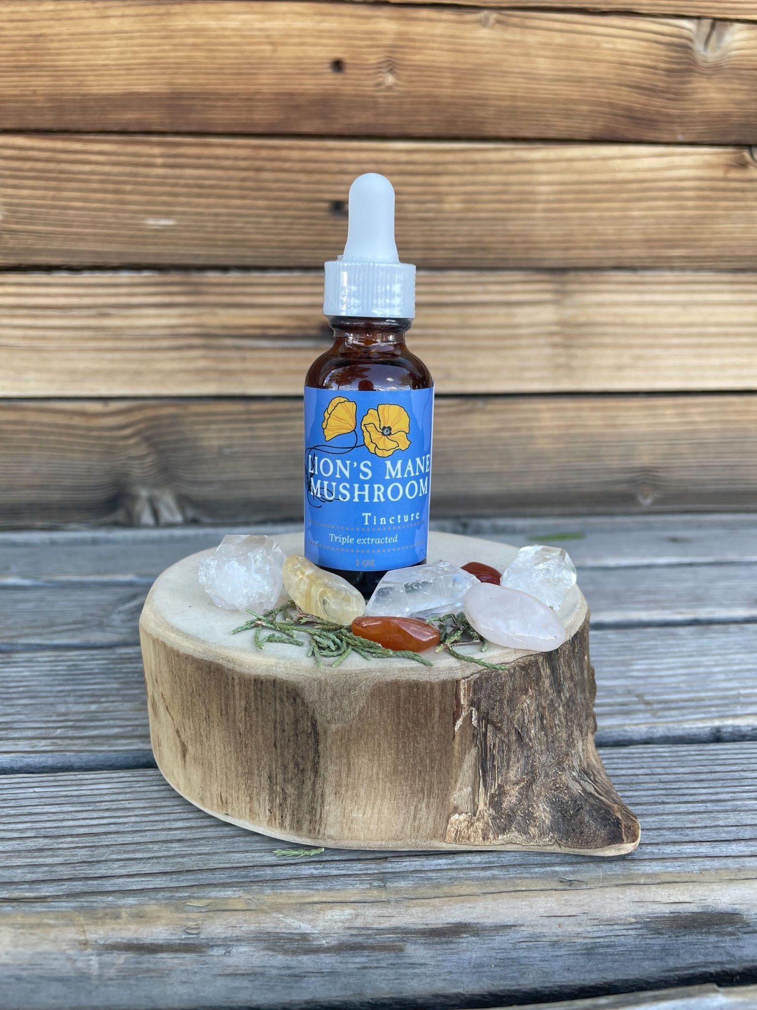 Lion's Mane Mushroom Tincture 1 oz, Organic, Triple Extracted - THE ONLY Mars Emporium