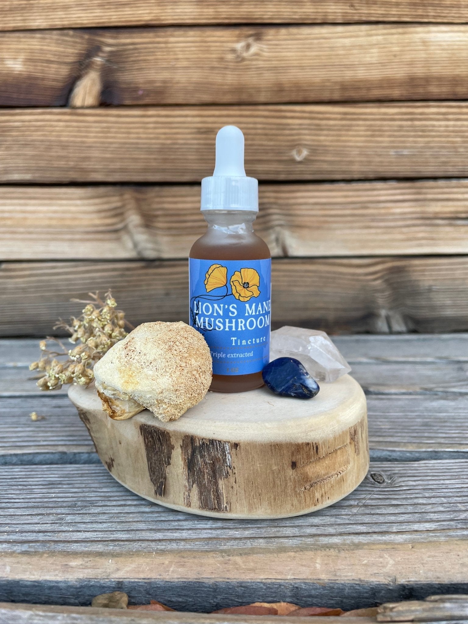 Lion's Mane Mushroom Tincture 1 oz, Organic, Triple Extracted - THE ONLY Mars Emporium