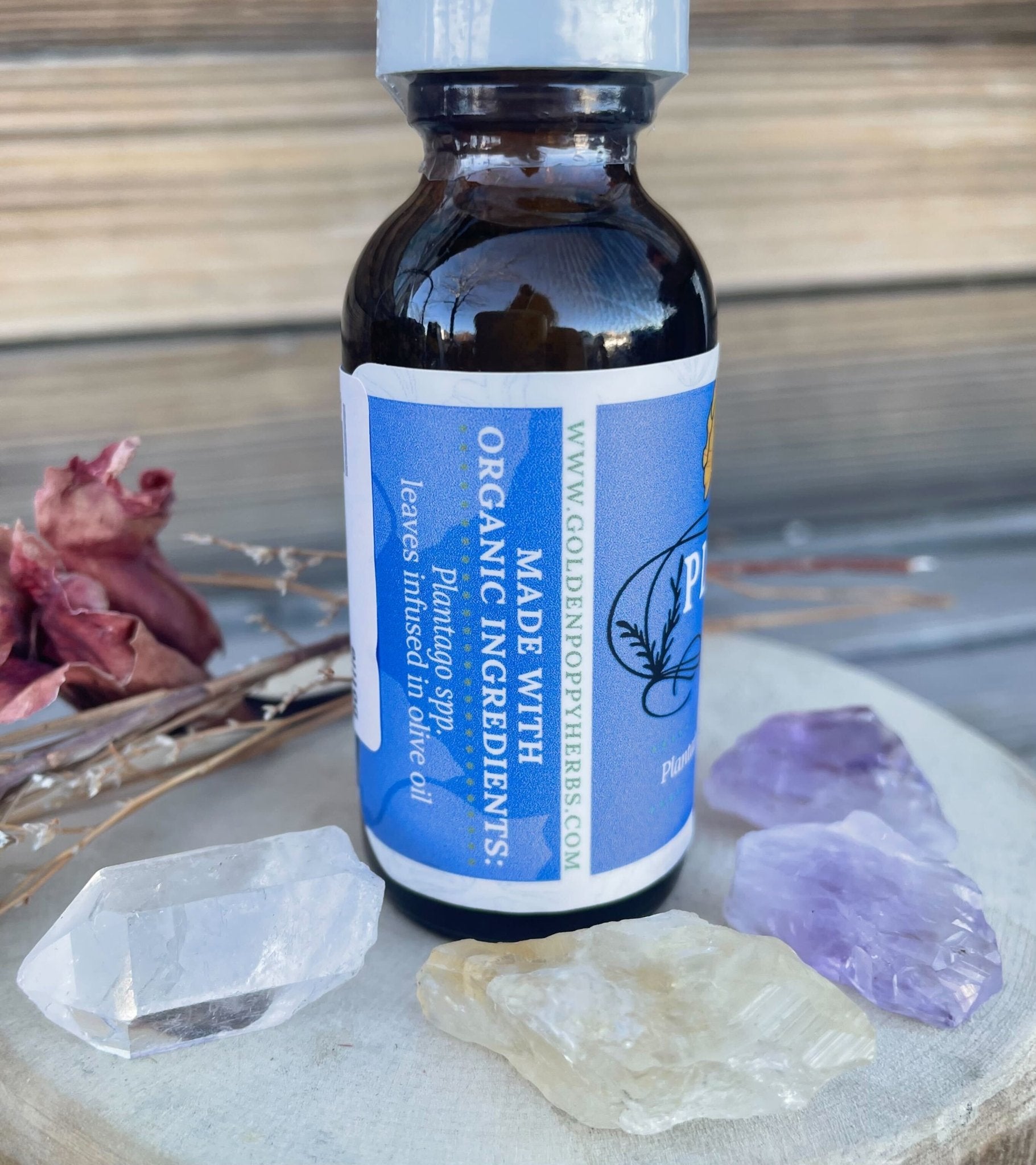 Plantain Leaf Infused Olive Oil, Organic, 1oz bottle - THE ONLY Mars Emporium