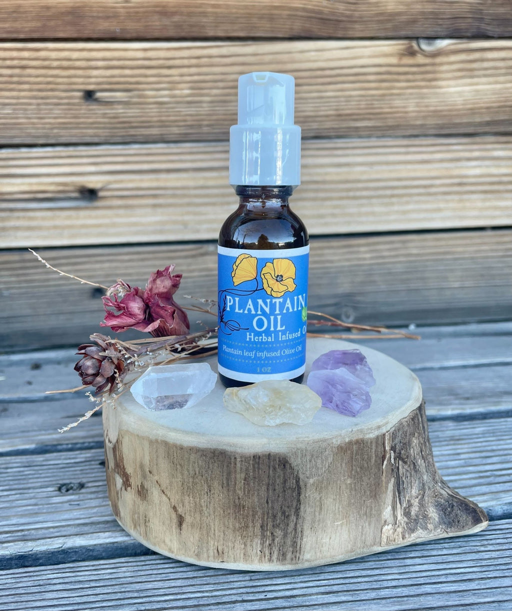 Plantain Leaf Infused Olive Oil, Organic, 1oz bottle - THE ONLY Mars Emporium