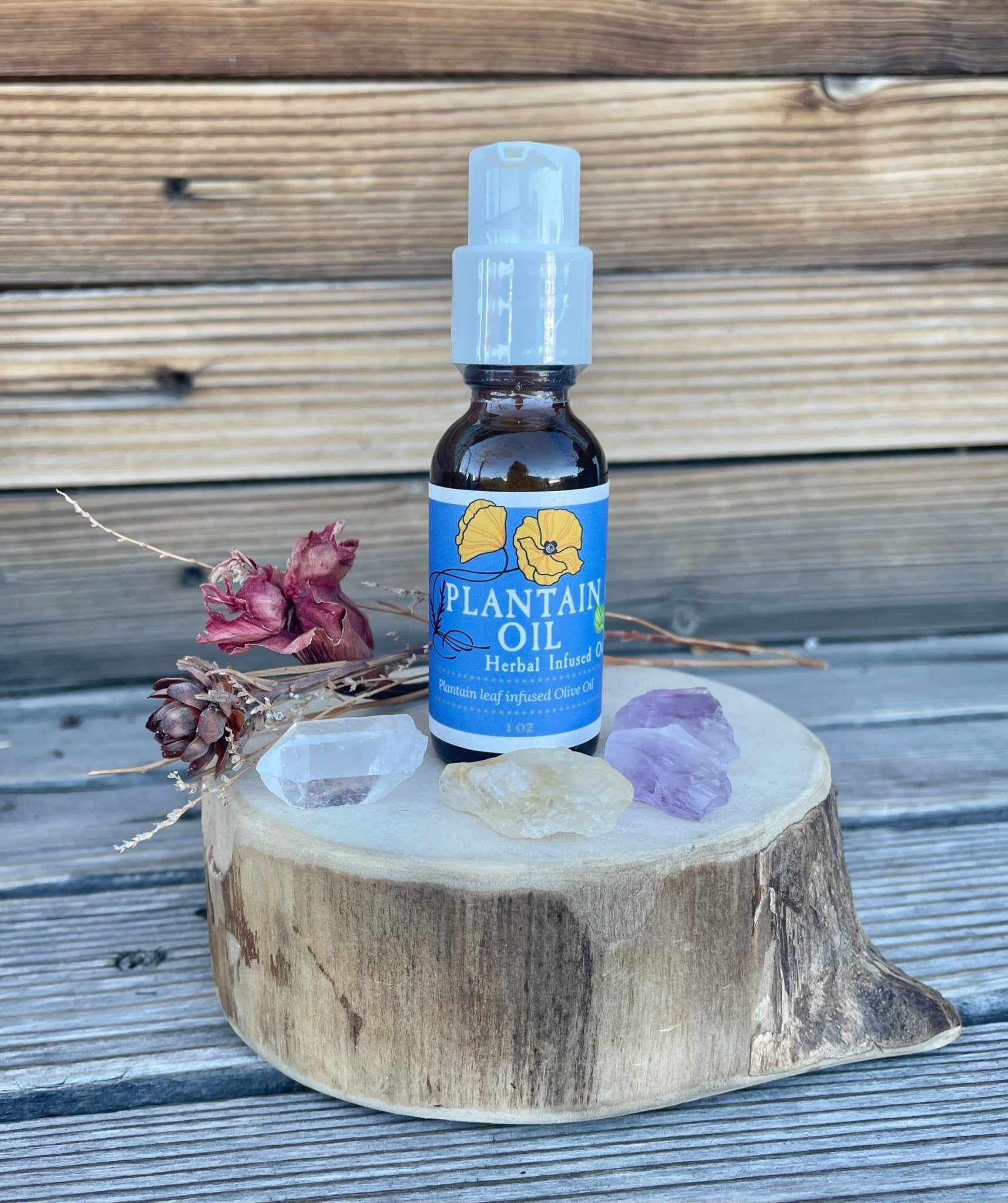 Plantain Leaf Infused Olive Oil, Organic, 1oz bottle - THE ONLY Mars Emporium