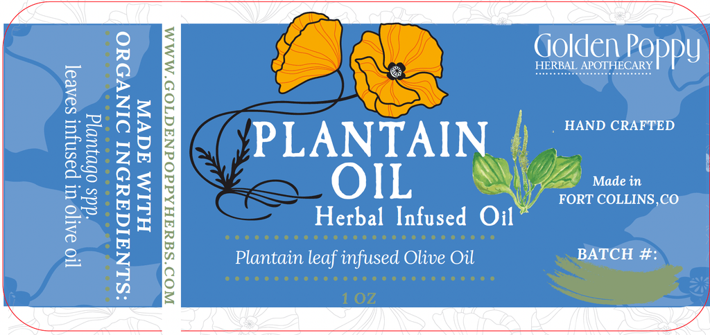 Plantain Leaf Infused Olive Oil, Organic, 1oz bottle - THE ONLY Mars Emporium