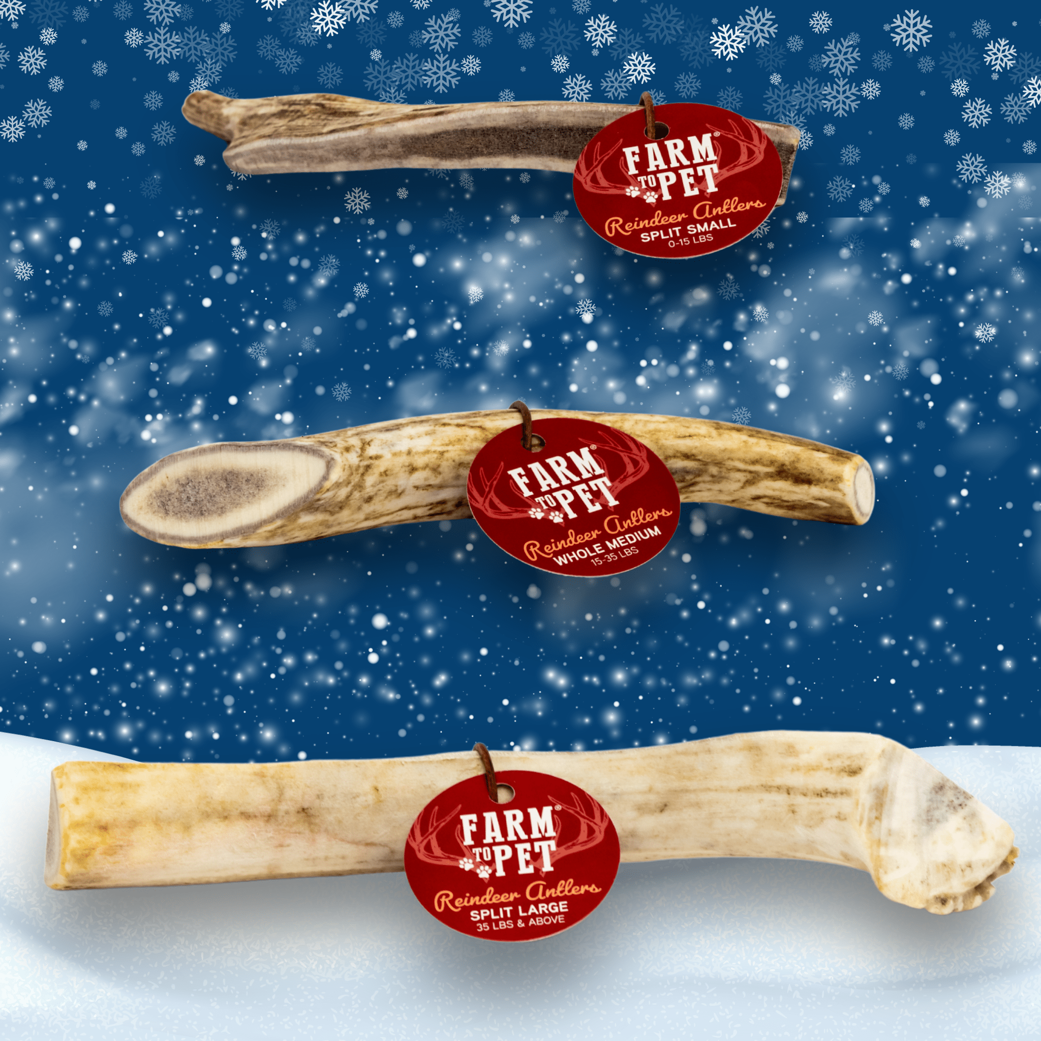 Reindeer Antler Dog Chews | Organic Chews for Dogs - THE ONLY Mars Emporium