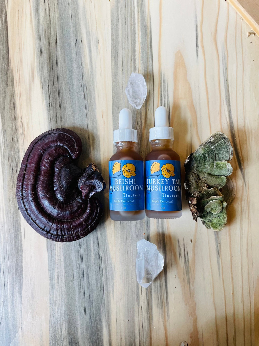 Reishi Mushroom Tincture 1 oz, Organic, Triple Extracted - THE ONLY Mars Emporium