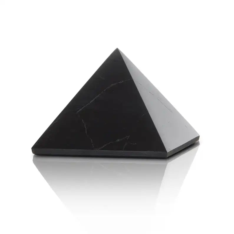 Shungite Stone Home EMF Defender - THE ONLY Mars Emporium