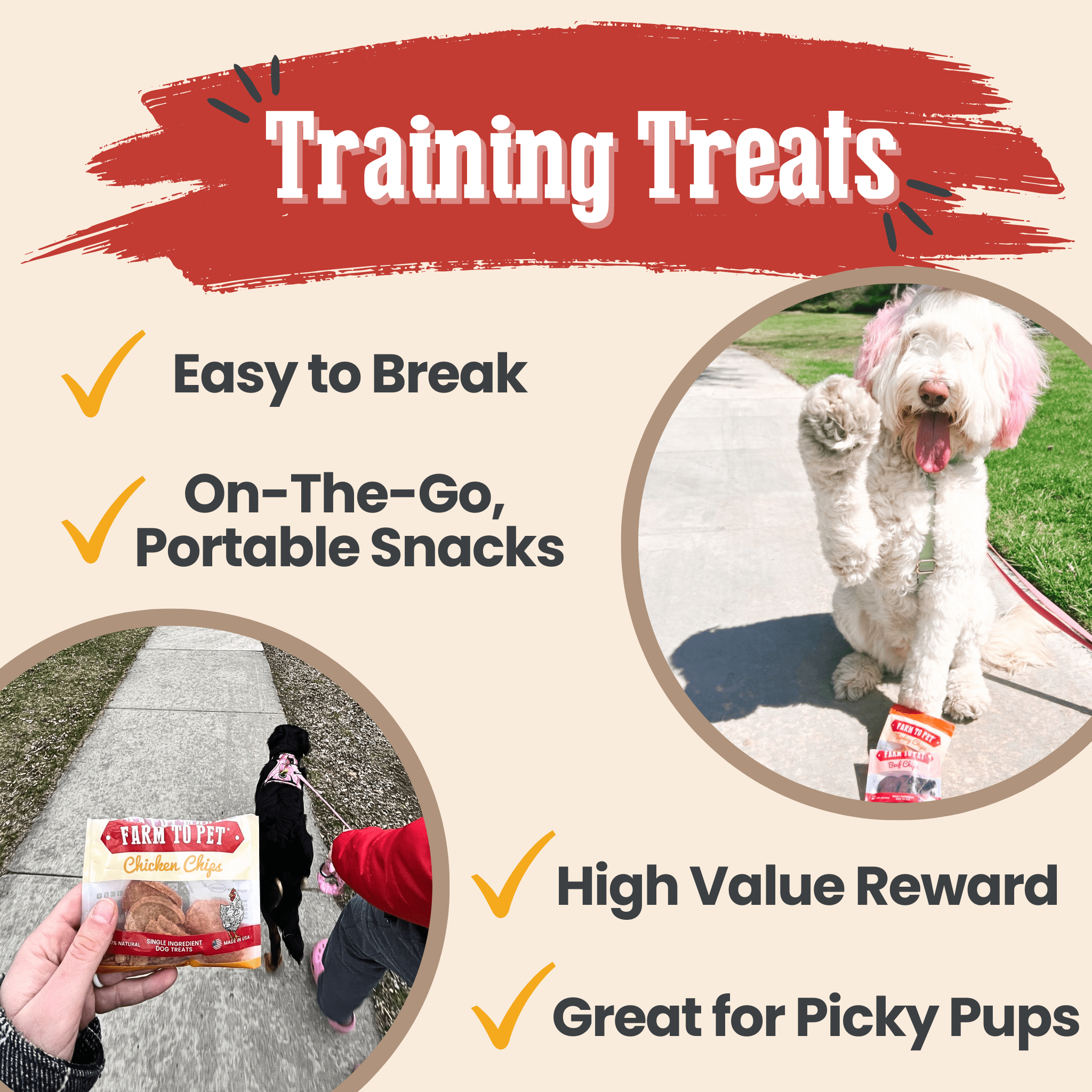 Snack Pack Dog Treat Sampler - THE ONLY Mars Emporium