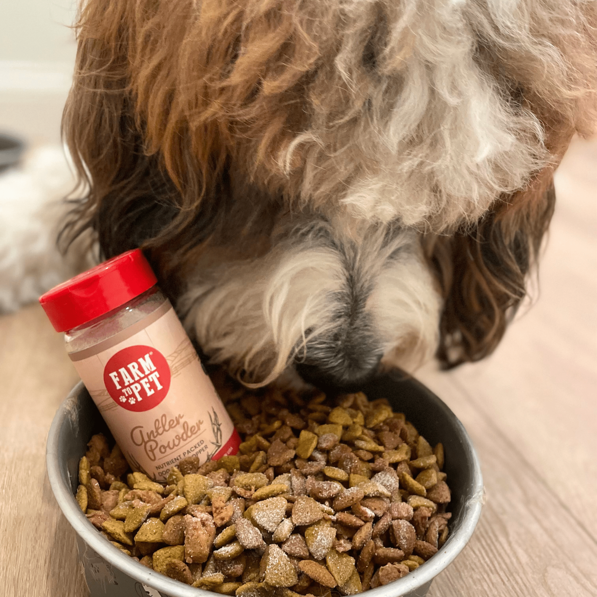 Treat Topper Antler Powder Dog Food Topper | Nutritional Supplement for Dogs and Cats - THE ONLY Mars Emporium